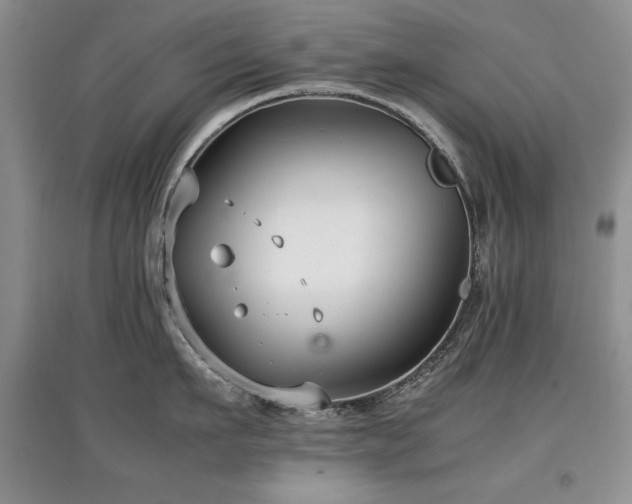 X0000097800911200803141051