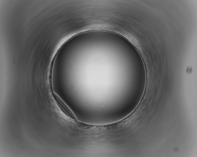 X0000097800912200803141051