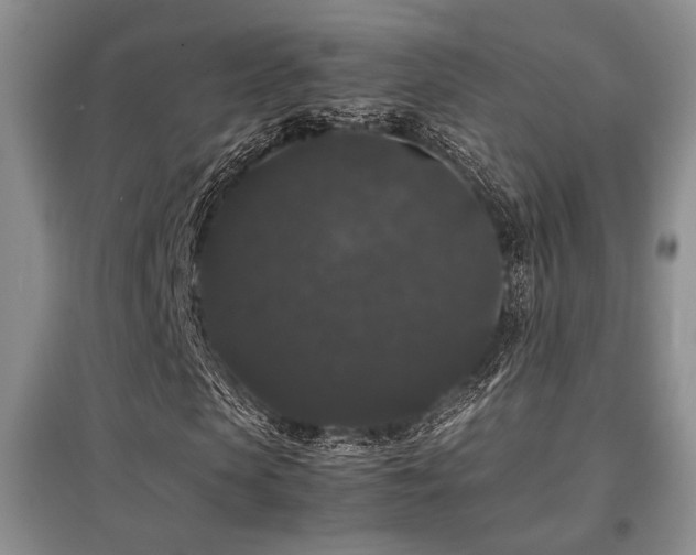 X0000097800913200803141050