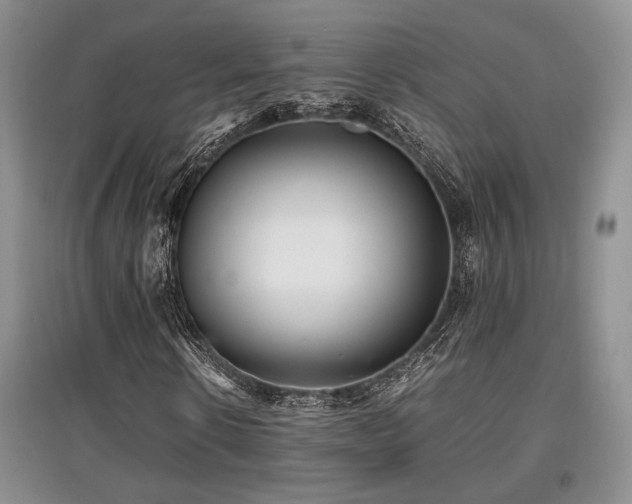 X0000097800914200803141050