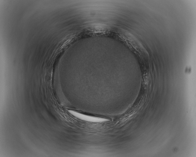 X0000097800916200803141050