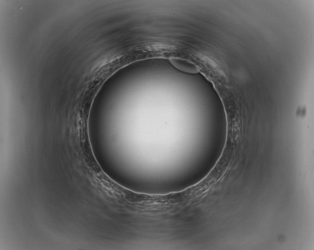 X0000097800917200803141050