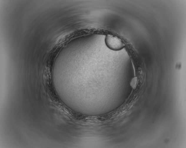 X0000097800918200803141050