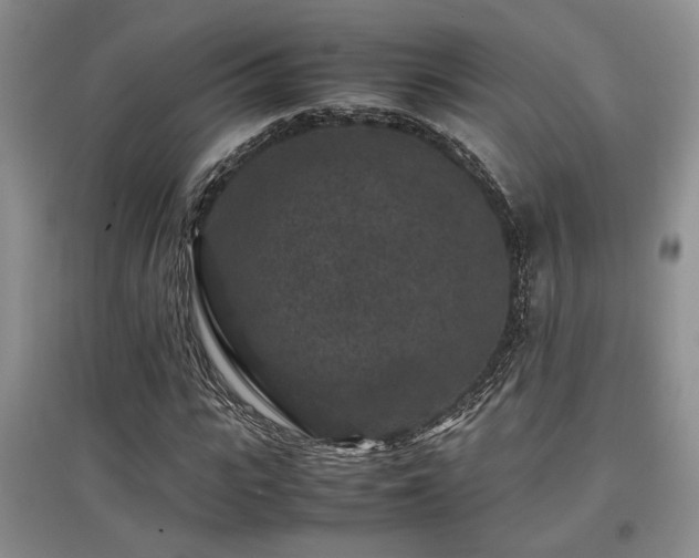 X0000097800919200803141050