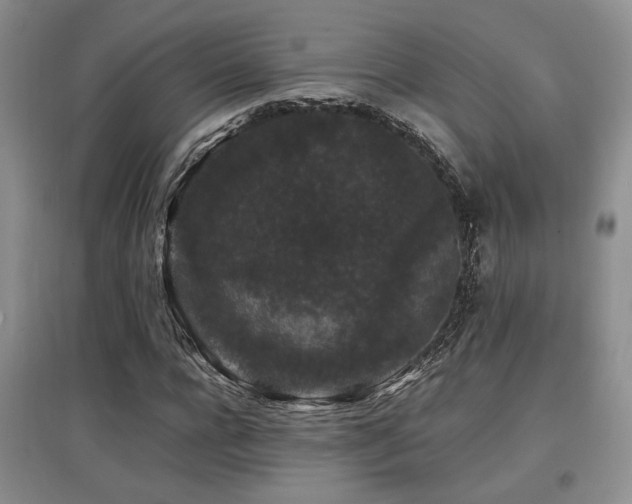 X0000097800920200803141050