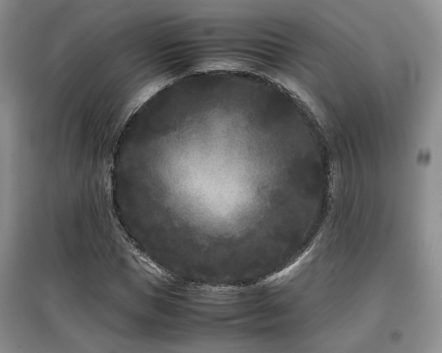 X0000097800921200803141050