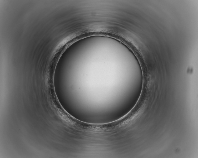 X0000097800922200803141050