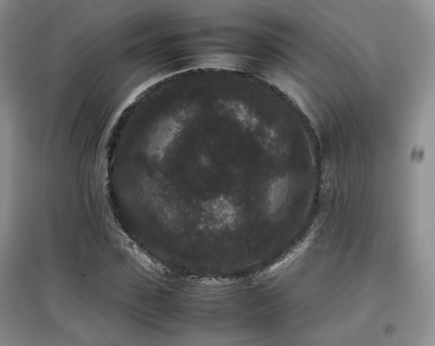 X0000097800923200803141050