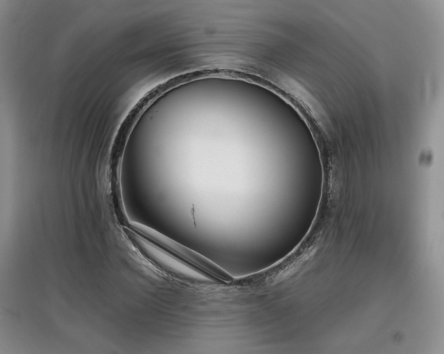 X0000097800924200803141050