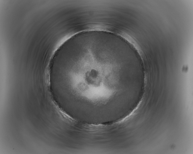 X0000097800925200803141050