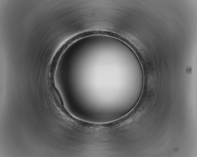 X0000097800926200803141051