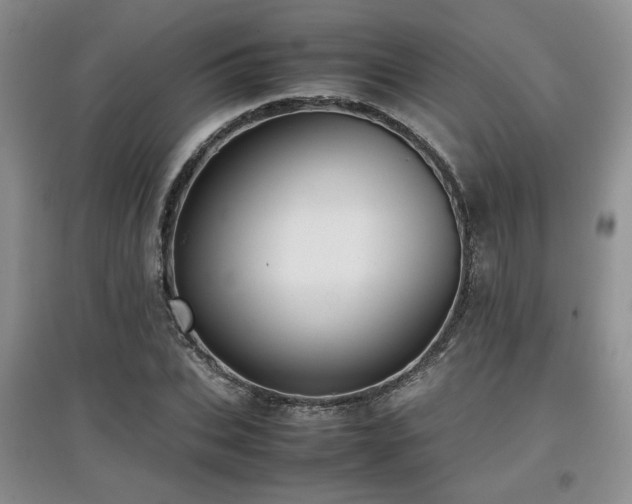 X0000097800927200803141051