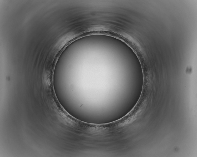 X0000097800929200803141051