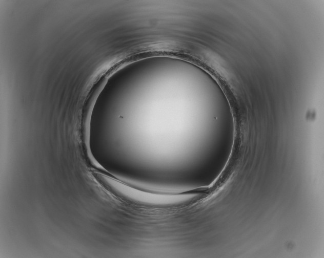 X0000097800930200803141051