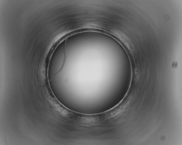 X0000097800931200803141051