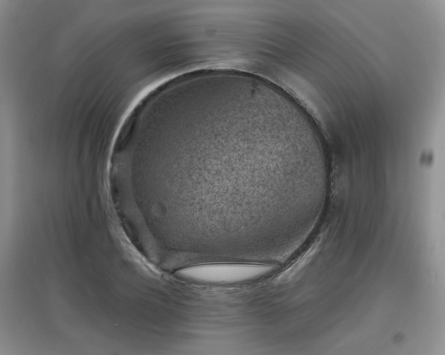 X0000097800932200803141051