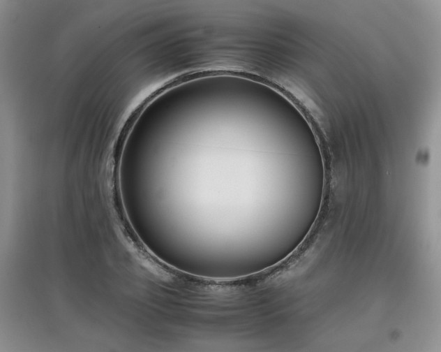 X0000097800933200803141051