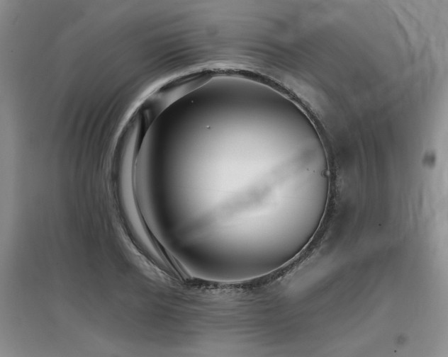 X0000097800934200803141051