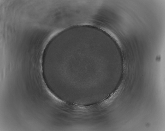 X0000097800935200803141051