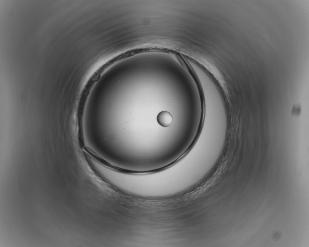 X0000097800936200803141051