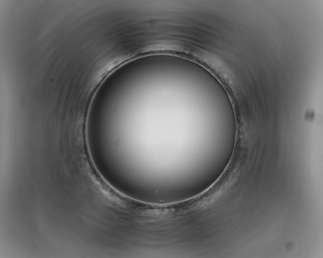 X0000097800937200803141051