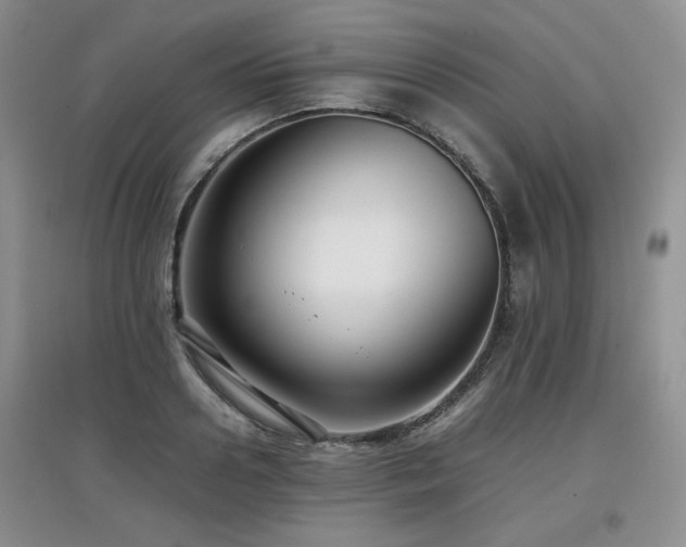 X0000097800938200803141051