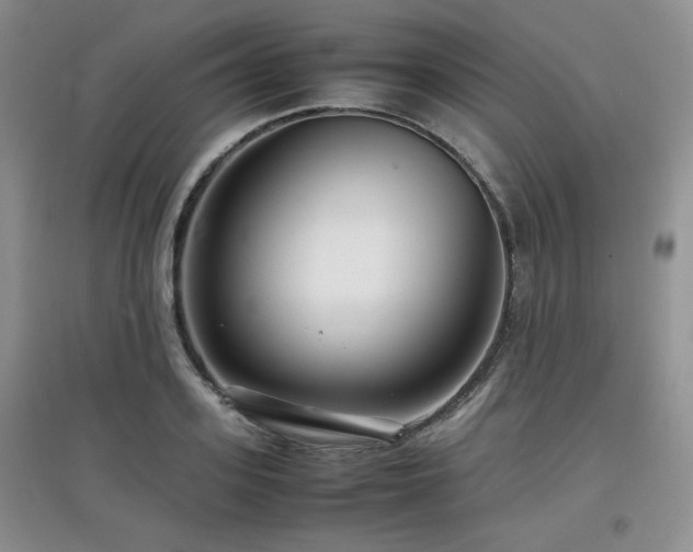 X0000097800939200803141051