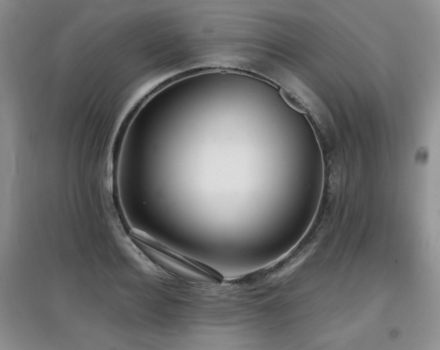 X0000097800940200803141051