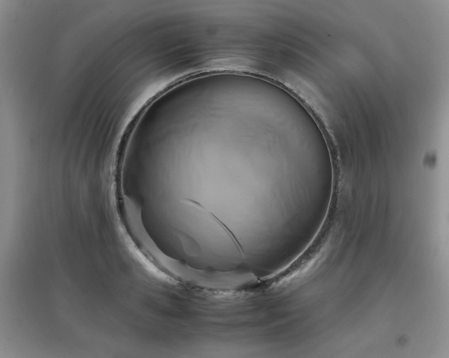 X0000097800941200803141051