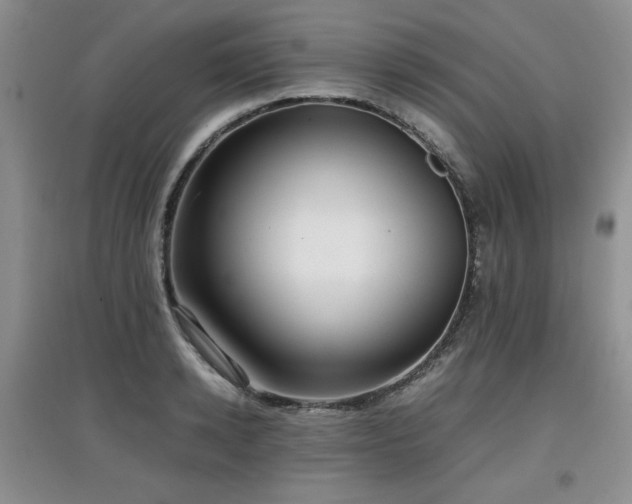 X0000097800942200803141051