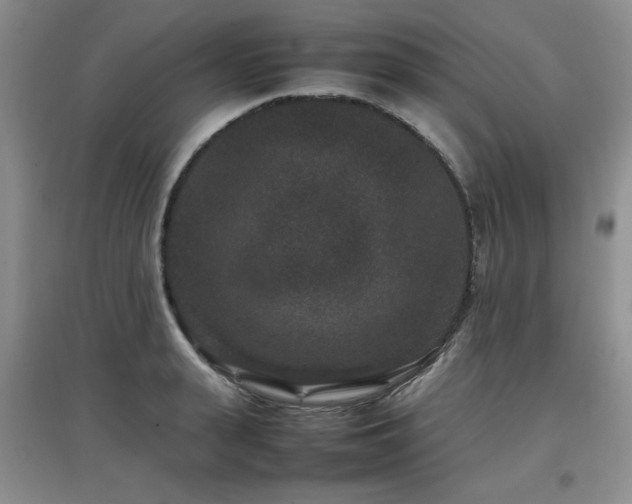 X0000097800943200803141051