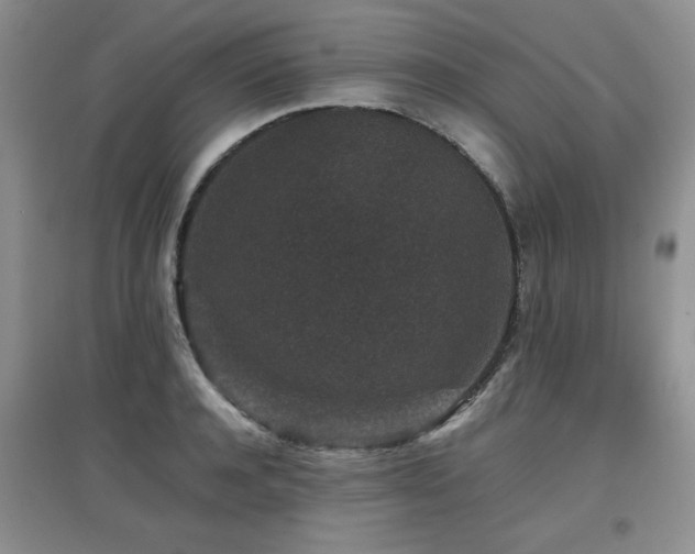 X0000097800944200803141051