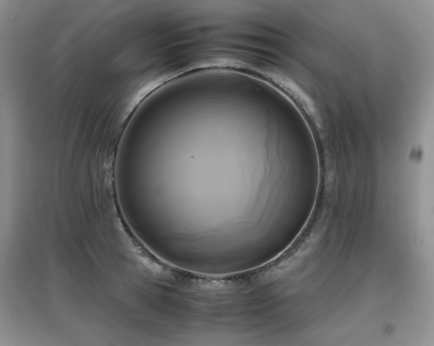 X0000097800945200803141051