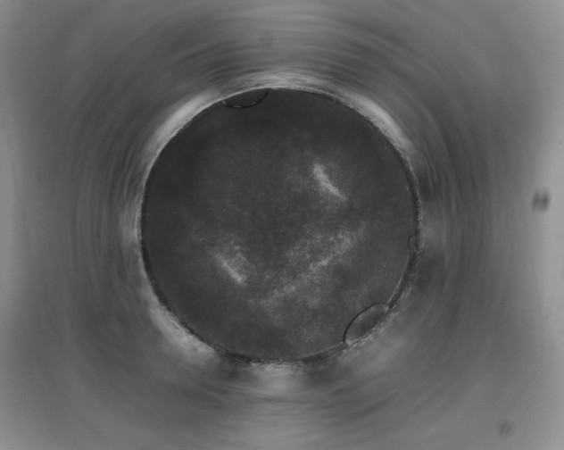 X0000097800946200803141051