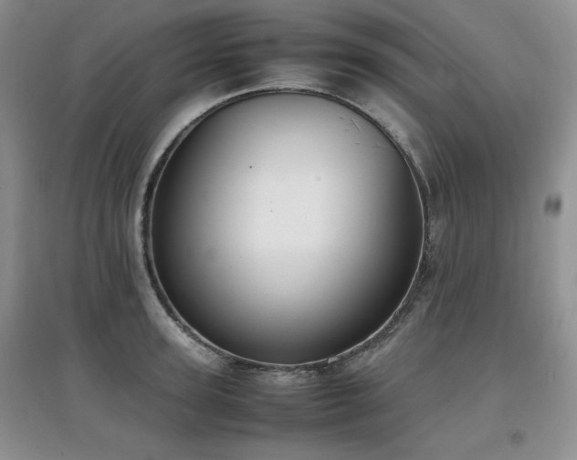 X0000097800947200803141051