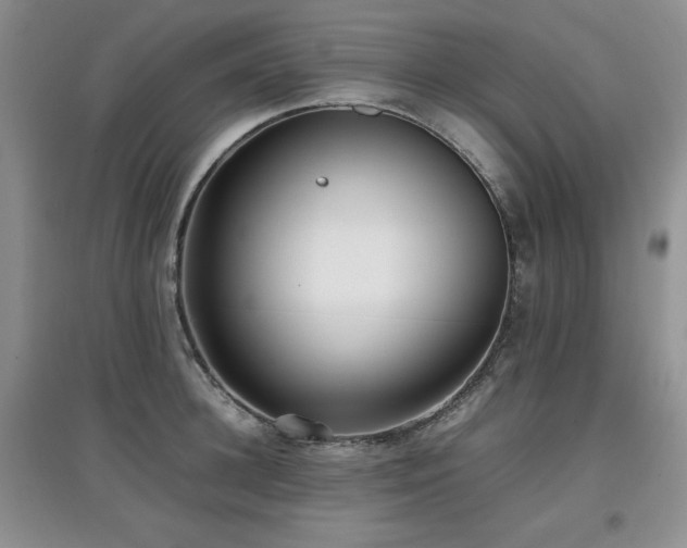 X0000097800948200803141051