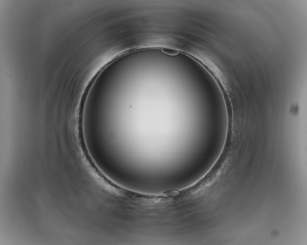 X0000097800949200803141051