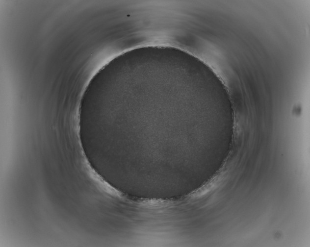 X0000097800950200803141051