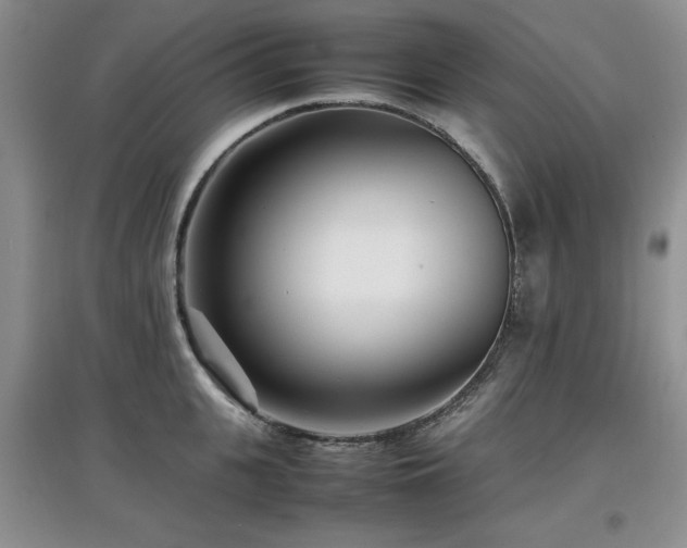 X0000097800951200803141051