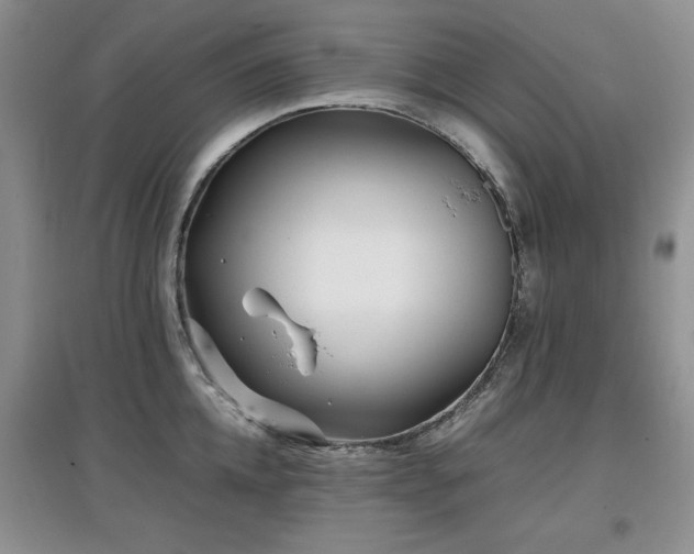 X0000097800952200803141051