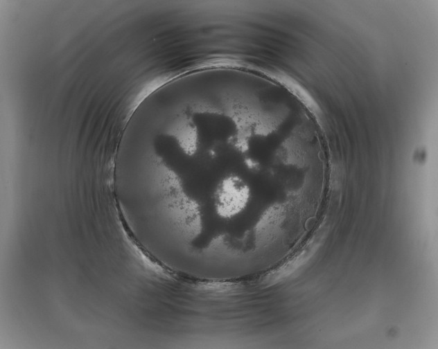 X0000097800953200803141051