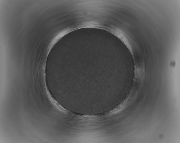 X0000097800954200803141051