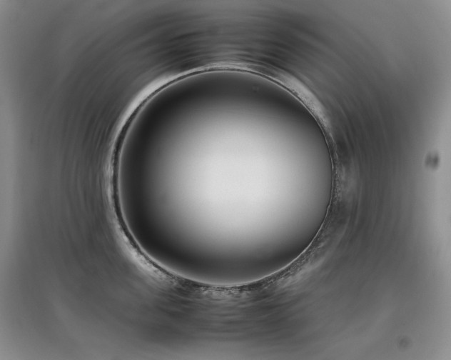 X0000097800955200803141051