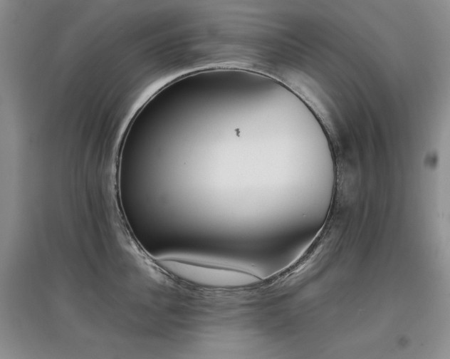 X0000097800956200803141051