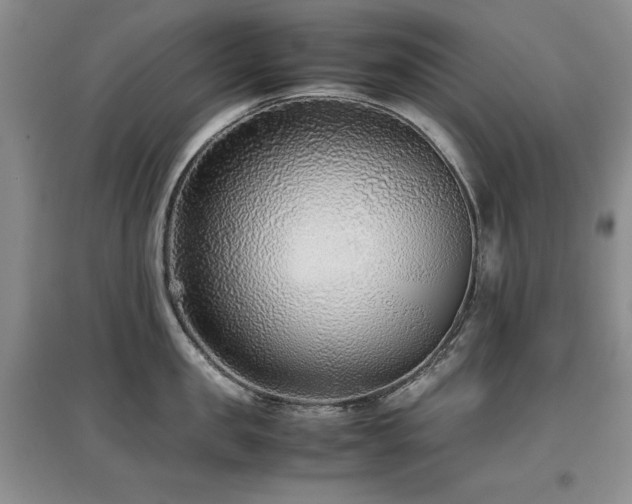 X0000097800957200803141051