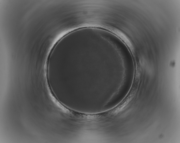 X0000097800958200803141051