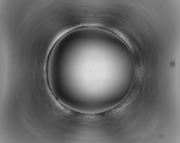 X0000097800959200803141051