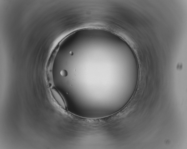 X0000097800960200803141051