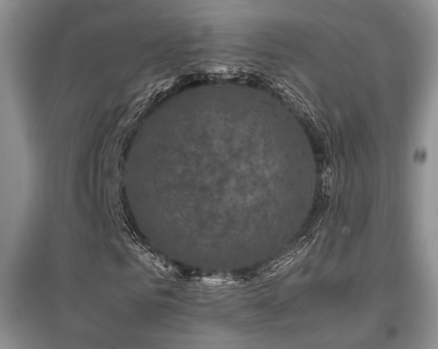 X0000097800961200803141050