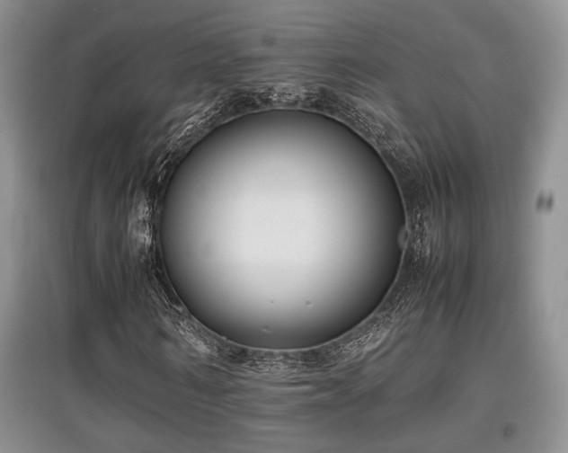 X0000097800962200803141050